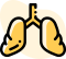 5 5